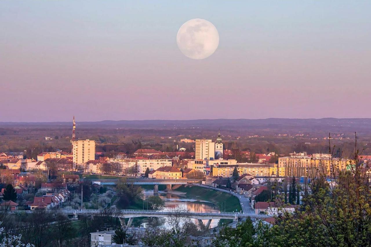 Four Pearls Apartment Karlovac Bagian luar foto